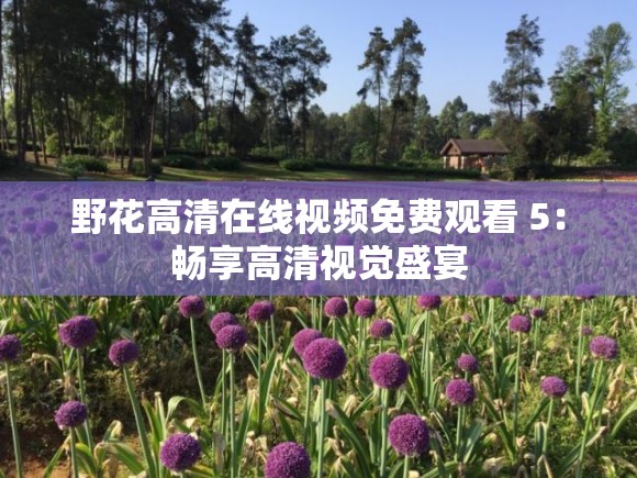 野花高清在线视频免费观看 5：畅享高清视觉盛宴