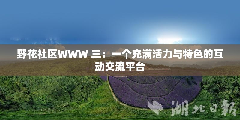 野花社区WWW 三：一个充满活力与特色的互动交流平台
