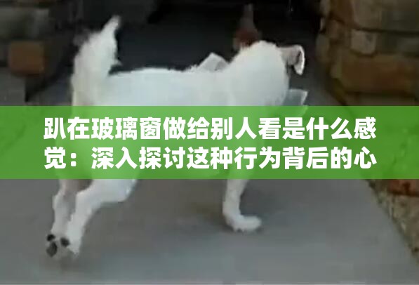 趴在玻璃窗做给别人看是什么感觉：深入探讨这种行为背后的心理与意义