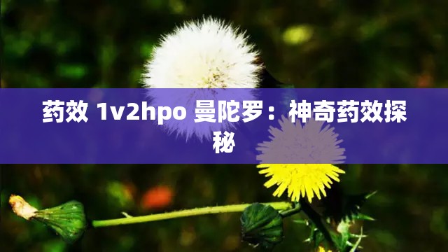 药效 1v2hpo 曼陀罗：神奇药效探秘