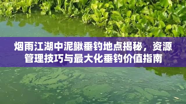 烟雨江湖中泥鳅垂钓地点揭秘，资源管理技巧与最大化垂钓价值指南