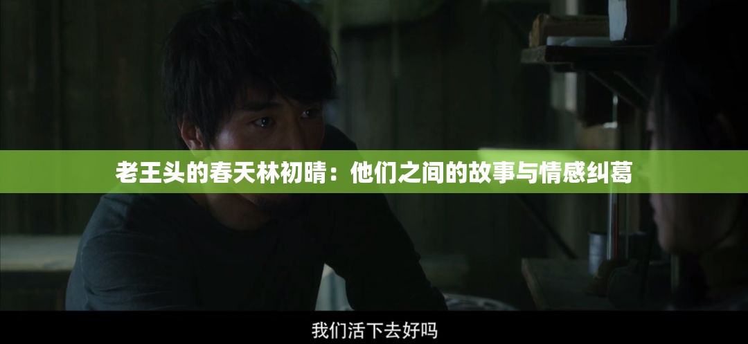 老王头的春天林初晴：他们之间的故事与情感纠葛
