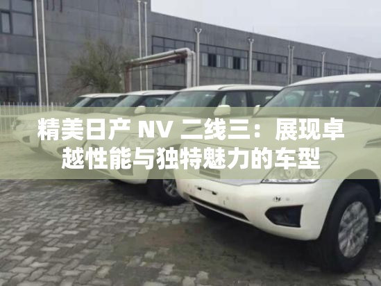 精美日产 NV 二线三：展现卓越性能与独特魅力的车型