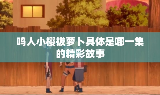 鸣人小樱拔萝卜具体是哪一集的精彩故事