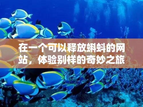 在一个可以释放蝌蚪的网站，体验别样的奇妙之旅