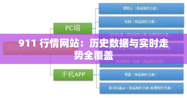 911 行情网站：历史数据与实时走势全覆盖