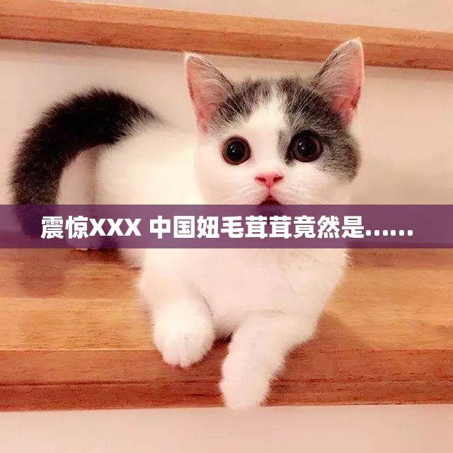 震惊XXX 中国妞毛茸茸竟然是……