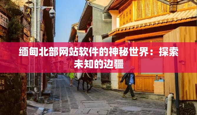 缅甸北部网站软件的神秘世界：探索未知的边疆