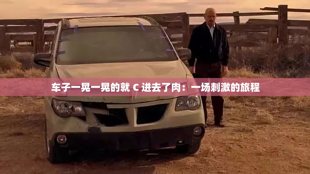 车子一晃一晃的就 C 进去了肉：一场刺激的旅程