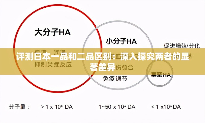 评测日本一品和二品区别：深入探究两者的显著差异