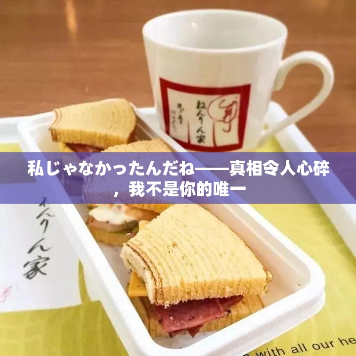 私じゃなかったんだね——真相令人心碎，我不是你的唯一