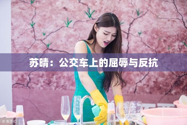 苏晴：公交车上的屈辱与反抗