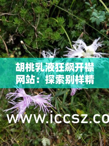 胡桃乳液狂飙开襟网站：探索别样精彩世界