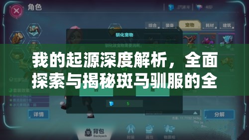 我的起源深度解析，全面探索与揭秘斑马驯服的全过程攻略