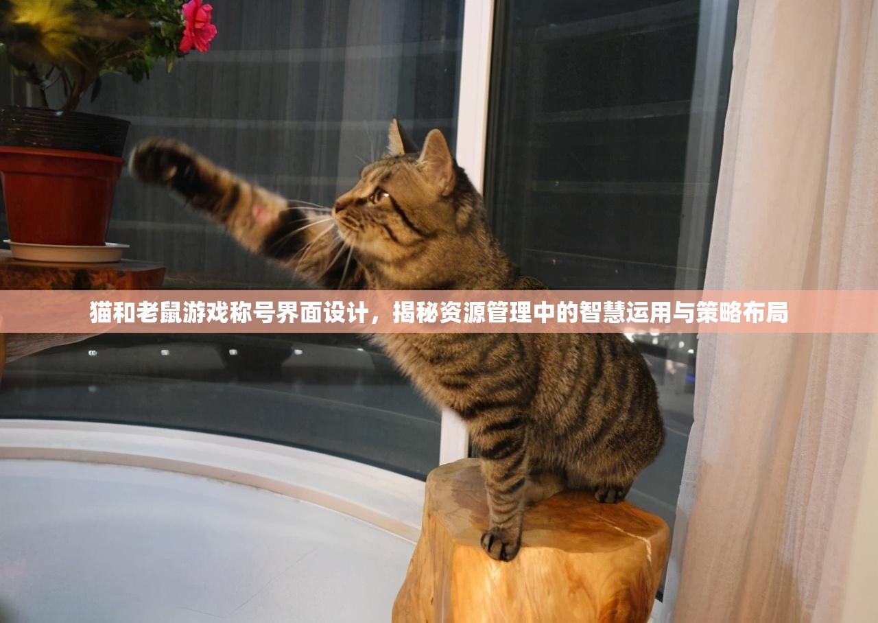 猫和老鼠游戏称号界面设计，揭秘资源管理中的智慧运用与策略布局