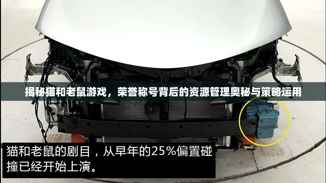揭秘猫和老鼠游戏，荣誉称号背后的资源管理奥秘与策略运用