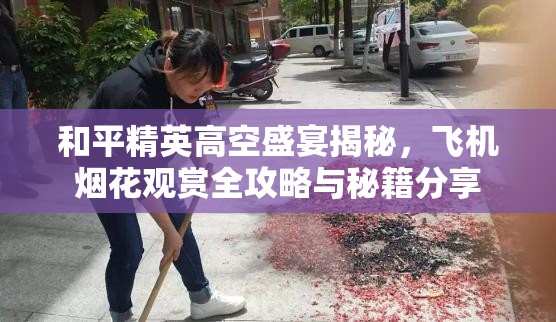 和平精英高空盛宴揭秘，飞机烟花观赏全攻略与秘籍分享