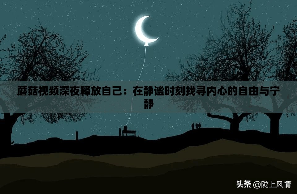 蘑菇视频深夜释放自己：在静谧时刻找寻内心的自由与宁静