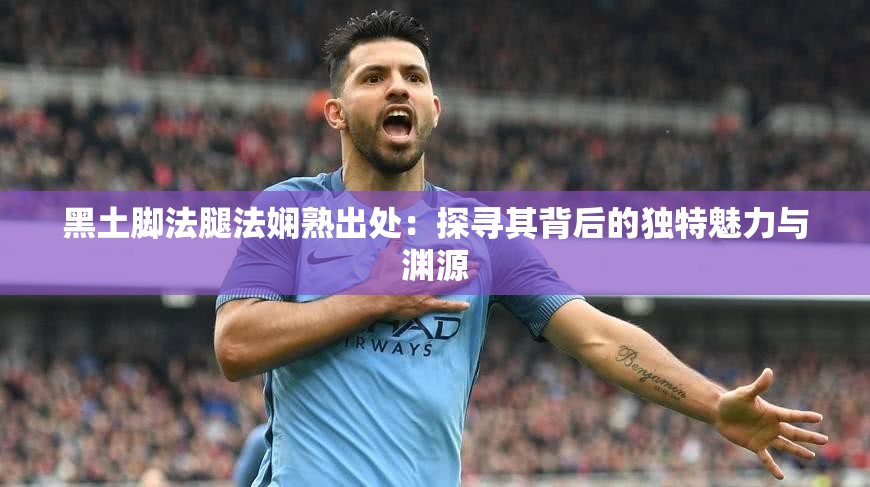 黑土脚法腿法娴熟出处：探寻其背后的独特魅力与渊源