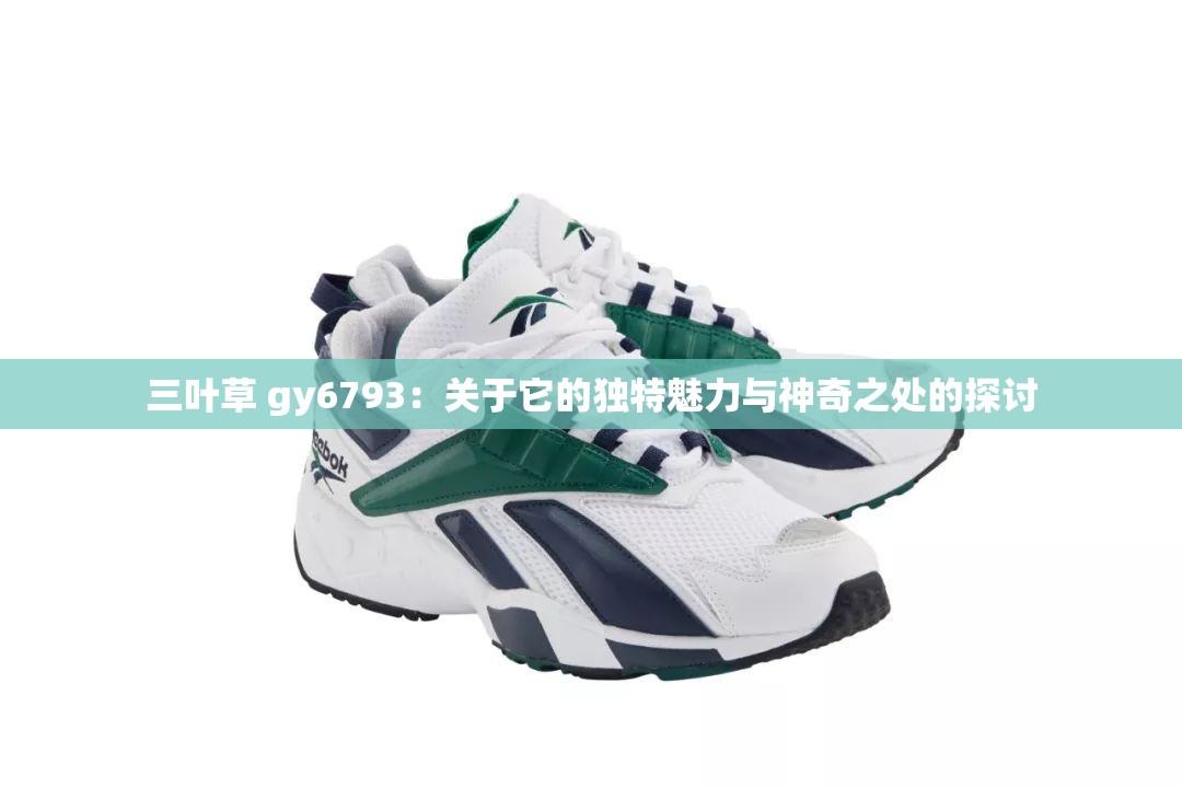 三叶草 gy6793：关于它的独特魅力与神奇之处的探讨