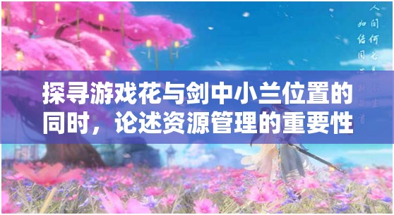 探寻游戏花与剑中小兰位置的同时，论述资源管理的重要性及高效利用策略