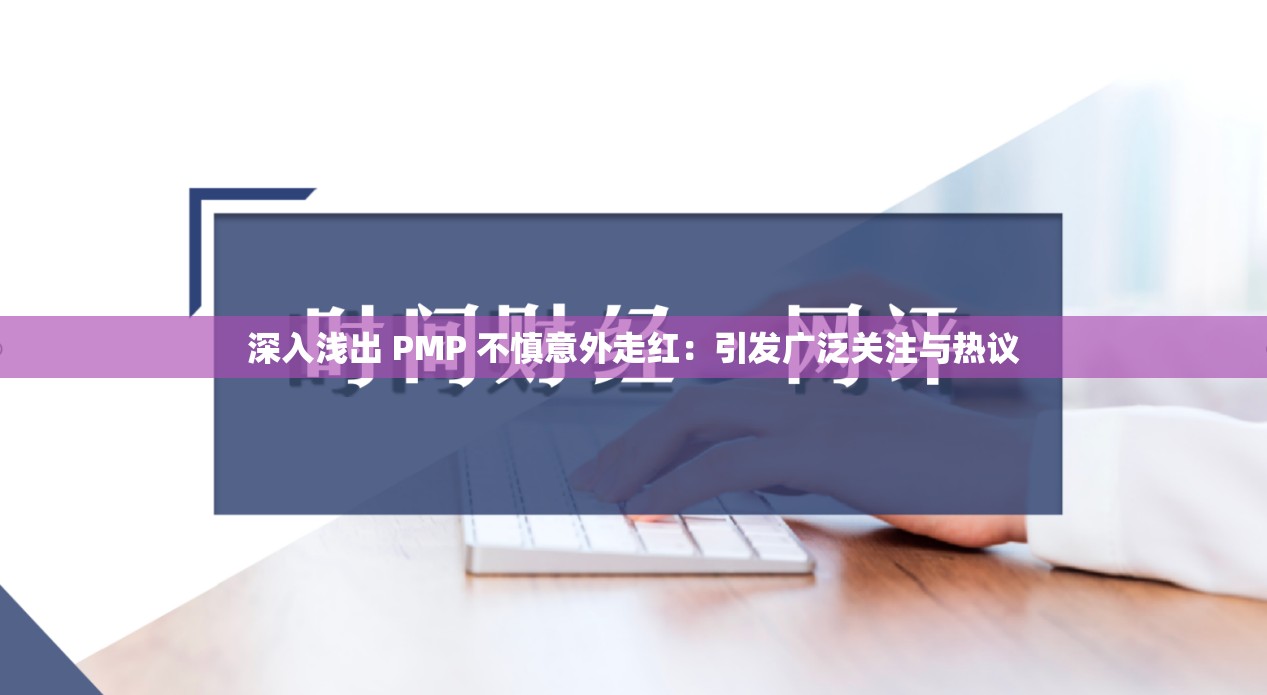 深入浅出 PMP 不慎意外走红：引发广泛关注与热议