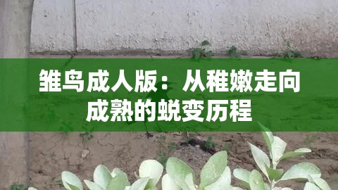 雏鸟成人版：从稚嫩走向成熟的蜕变历程
