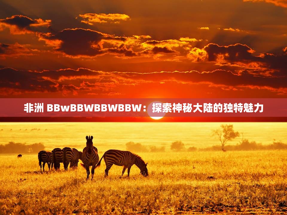 非洲 BBwBBWBBWBBW：探索神秘大陆的独特魅力