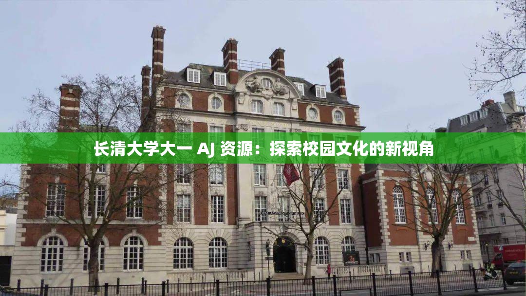 长清大学大一 AJ 资源：探索校园文化的新视角