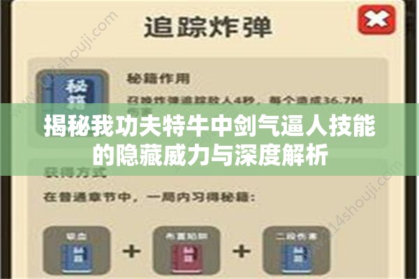 揭秘我功夫特牛中剑气逼人技能的隐藏威力与深度解析