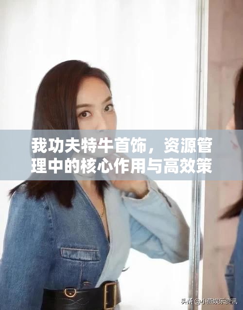 我功夫特牛首饰，资源管理中的核心作用与高效策略应用解析