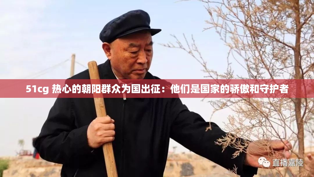 51cg 热心的朝阳群众为国出征：他们是国家的骄傲和守护者