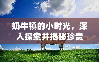 奶牛镇的小时光，深入探索并揭秘珍贵鲍鱼的神秘自然栖息地