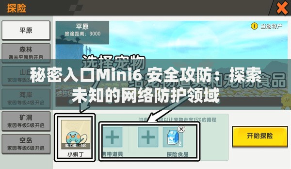 秘密入口Mini6 安全攻防：探索未知的网络防护领域