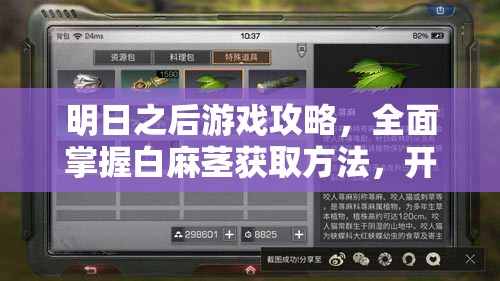 明日之后游戏攻略，全面掌握白麻茎获取方法，开启你的生存挑战新篇章