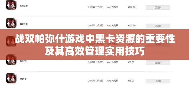 战双帕弥什游戏中黑卡资源的重要性及其高效管理实用技巧