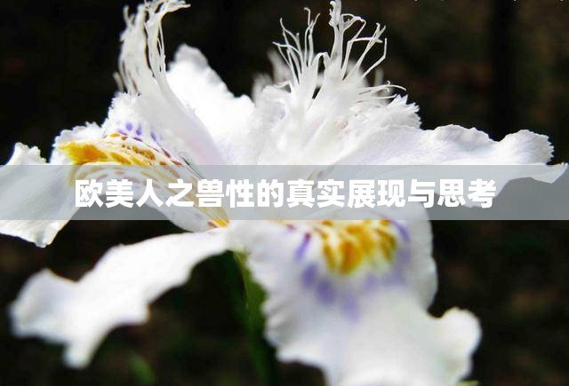 欧美人之兽性的真实展现与思考