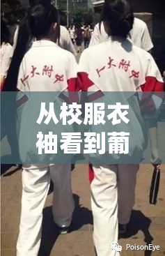 从校服衣袖看到葡萄怎么办：探寻这一奇特现象背后的秘密