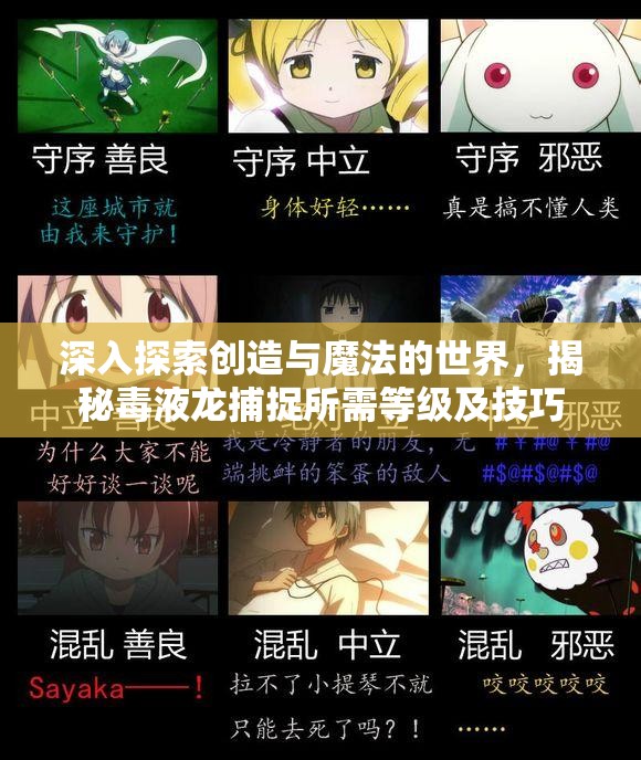 深入探索创造与魔法的世界，揭秘毒液龙捕捉所需等级及技巧