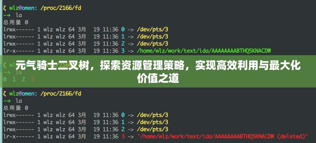 元气骑士二叉树，探索资源管理策略，实现高效利用与最大化价值之道