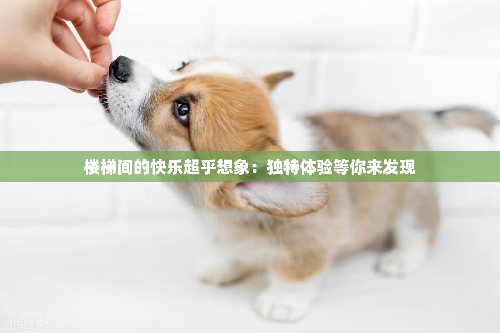 楼梯间的快乐超乎想象：独特体验等你来发现