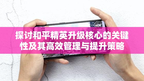 探讨和平精英升级核心的关键性及其高效管理与提升策略