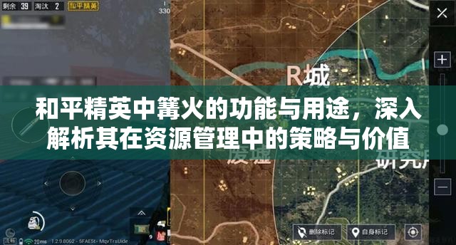 和平精英中篝火的功能与用途，深入解析其在资源管理中的策略与价值