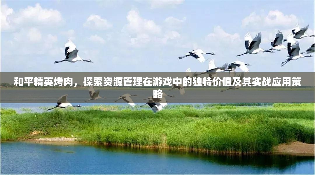和平精英烤肉，探索资源管理在游戏中的独特价值及其实战应用策略