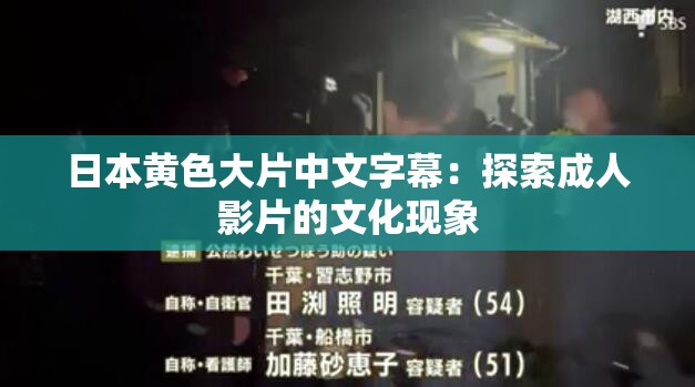 日本黄色大片中文字幕：探索成人影片的文化现象