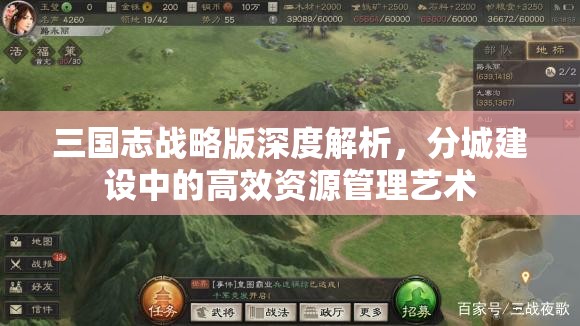 三国志战略版深度解析，分城建设中的高效资源管理艺术
