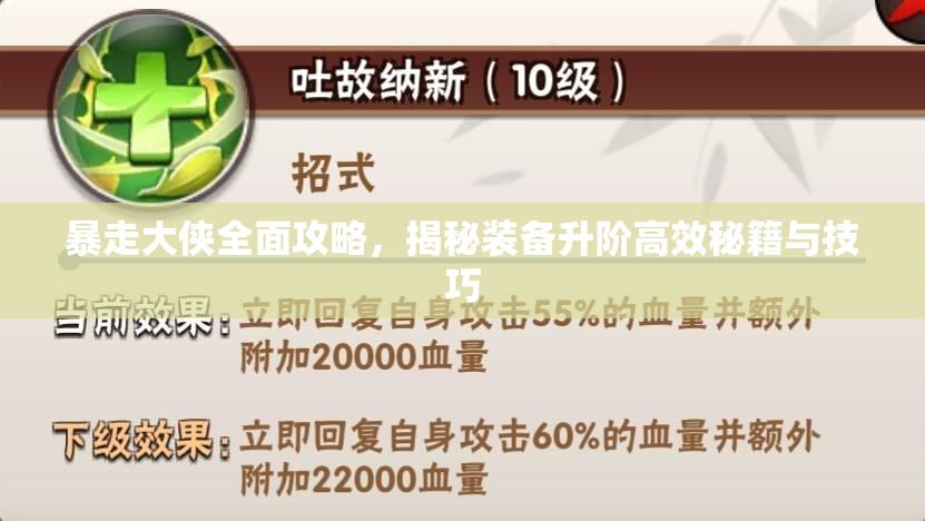 暴走大侠全面攻略，揭秘装备升阶高效秘籍与技巧