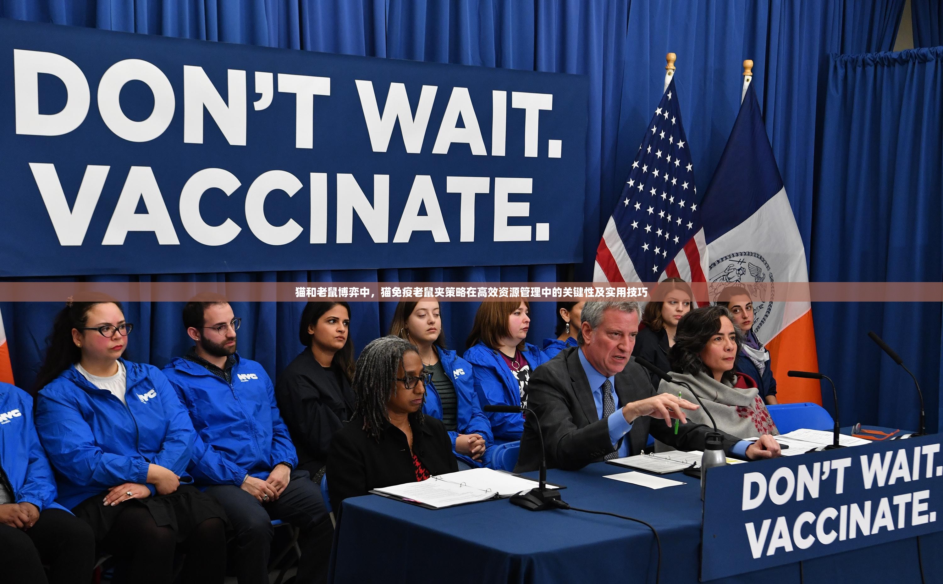 猫和老鼠博弈中，猫免疫老鼠夹策略在高效资源管理中的关键性及实用技巧