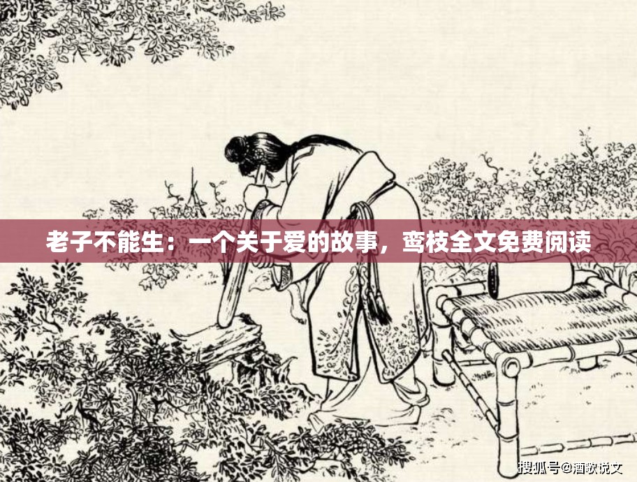 老子不能生：一个关于爱的故事，鸾枝全文免费阅读