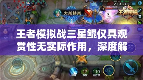 王者模拟战三星鲲仅具观赏性无实际作用，深度解析与实战策略探讨